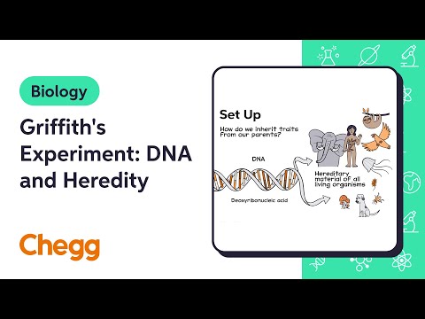 Griffith's Experiment: DNA and Heredity | Biology