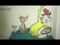 Pongo The Backyard Gang A Day At The Beach 1989