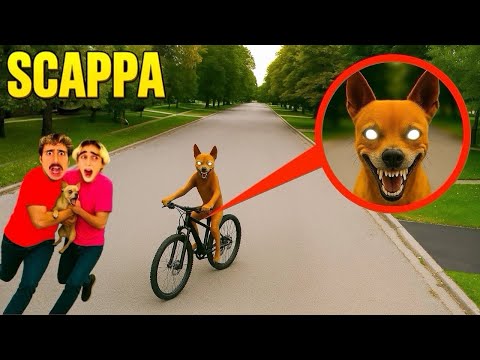 IF YOU EVER SEE THIS DOG ON A BIKE, RUN AWAY! 😨