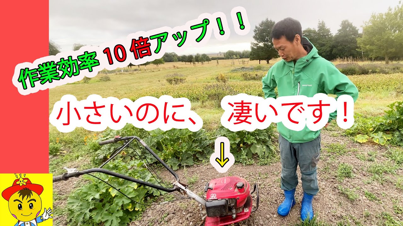 自然栽培の作業効率を上げる農機具の選び方|20年の実践で愛用する相棒たち