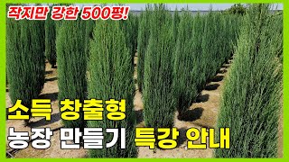 작지만 강한 소득 창출형 500평 농장 만들기 특강을 진행 합니다.
