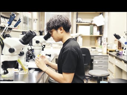 Introduction to the Department of Biological Sciences (2025 version)