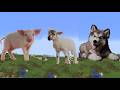 Real Life Peppa Pig Characters With Sounds In Minecraft
