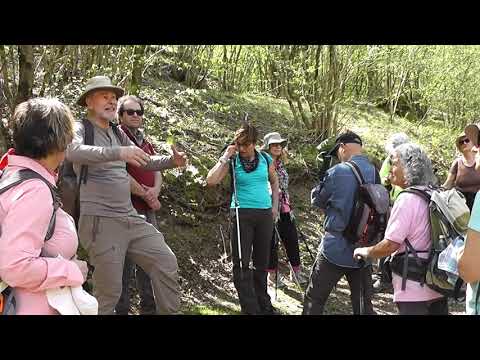 Gruppo trekking Tripetetolo:Cireglio- Le Piastre, 22 aprile 2018.