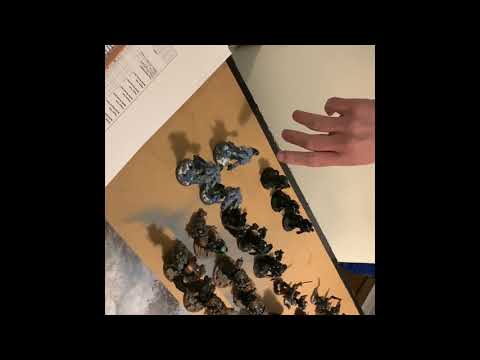 Thousand sons vs ultramarines 2000 points battle report itc mission