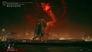 【ELDEN RING】忘れた頃のDLC#15
