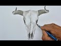 Newest How to Draw a Bull Skull, Video Cartoon Cow Head most searching!