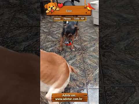 Vídeo de Cloe
