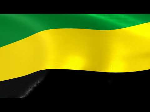 Flag of Bagadó Chocó
