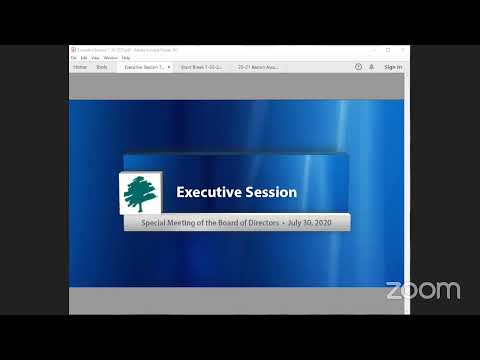 Special Meeting of the Board of Directors - July 30, 2020