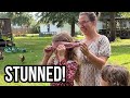 It S Time To Reveal Her HUGE Surprise In The Backyard