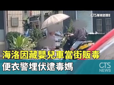 海洛因藏嬰兒車當街販毒　便衣警埋伏逮毒媽