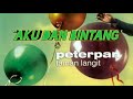 Musik Lirik Lagu Random Peterpan Aku Dan Bintang Album Taman Langit