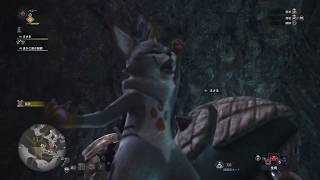 モンスターハンター：ワールド　虫かご族可愛い