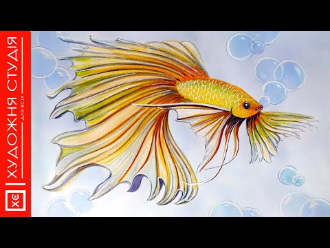 Золота рибка. Як намалювати Золоту рибку.