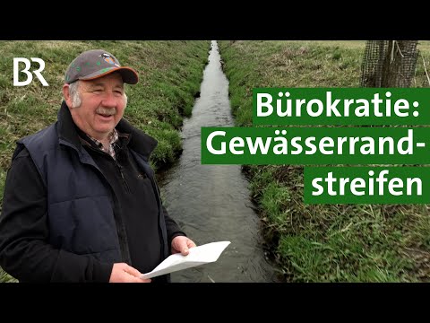 Gewässerrandstreifen für den Artenschutz - zu viel Bürokratie? | Unser Land | BR