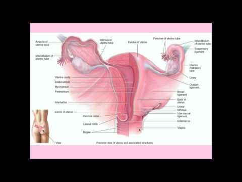 Uterine cancer no symptoms