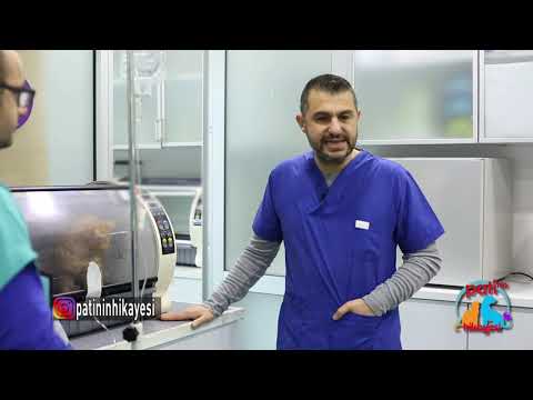 Patinin Hikayesi 83. Bölüm 2. Kısım