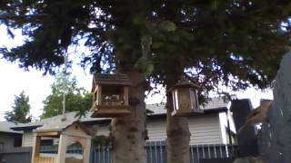 Michelle Tumes - Healing Waters