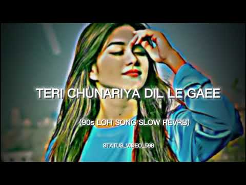 Teri Chunariya Dil Le Gayi ❤️🥀(90s Lofi Song Slow Reverb)#love #viral #hindi#90s @status_video_598