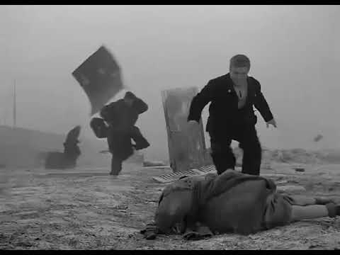 Miracle in Milan (1951)