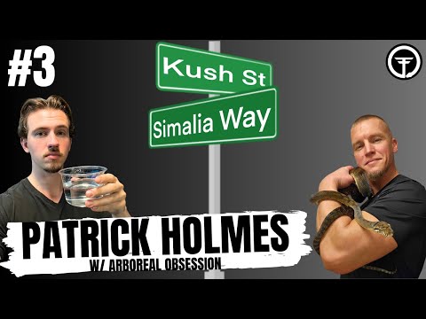 Patrick Holmes talks Scrub Pythons & Venomous Snakes | Kush's Korner Ep.3 LIVE