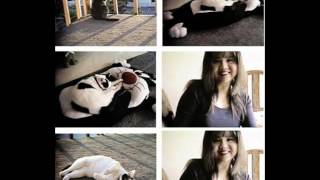 Brooke Miller Memorial