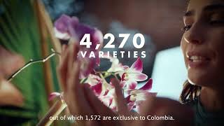 Why is Colombia a blooming paradise?