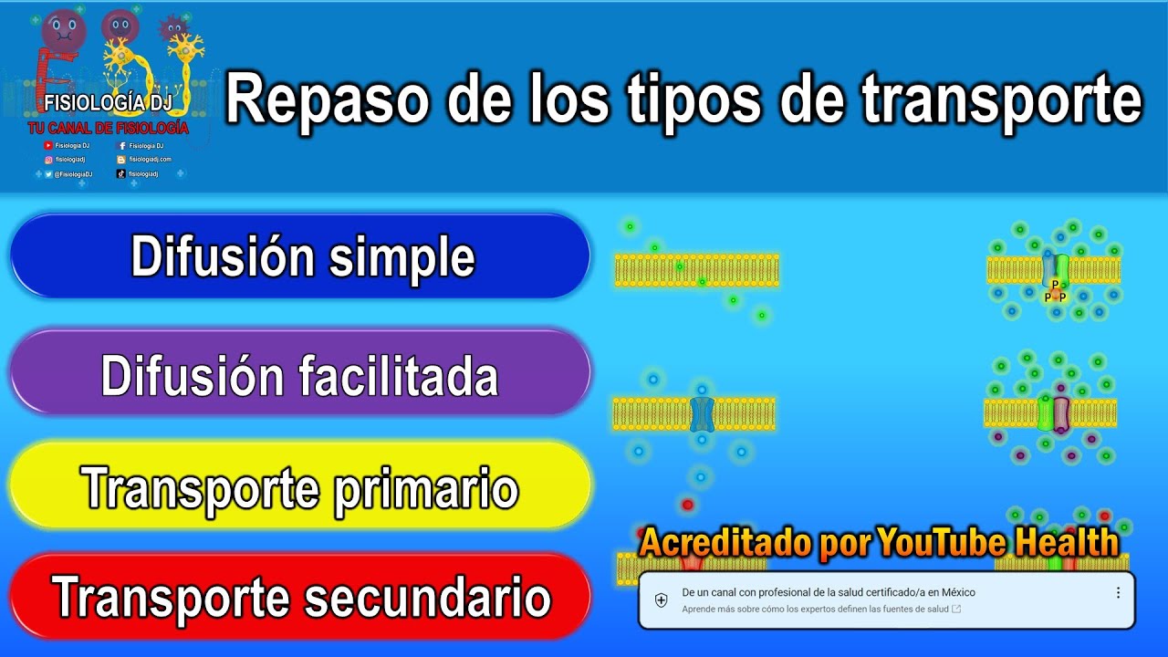 Transporte pasivo | Difusión simple | Difusión facilitada | Transporte activo | Repaso