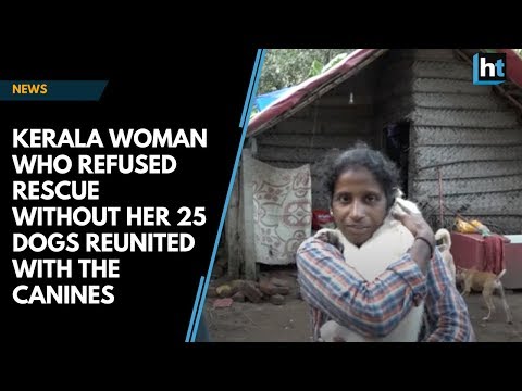 Kerala woman who refused rescue without her 25 dogs reunited with the canines