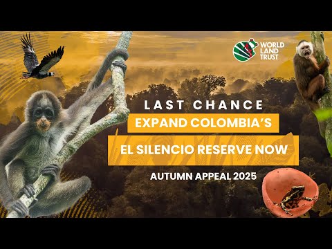 Last Chance, Expand Colombia's El Silencio Reserve Now | World Land Trust