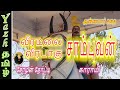 வீரமலை சாம்புவன் வரலாறு