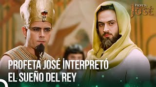 Sacerdotes De Amón Caídos En Desgracia | José El Profeta