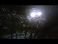 MEGALOPHOBIA Aragog And Its Spider Gang Harry Potter 2