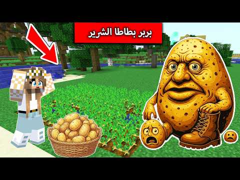 لا تقطع البطاطا ابداً لان بربر بطاطا ينتظرك اهرب بسرعة