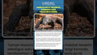 Taman Nasional Komodo, Habitat Terakhir Komodo Purba dengan Populasi 5 700 Ekor di Pulau pulau NTT