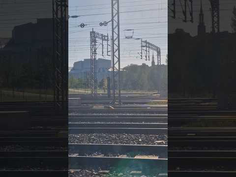 Käärijä take the train back to Helsinki part 1 #käärijä #foryou #summer #Finland #fyp #shorts