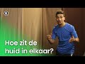 Hoe zit de huid in elkaar?