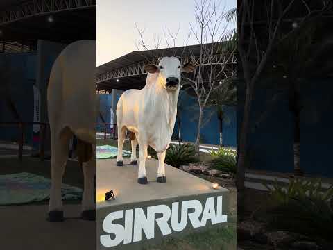 Quinquagésima sexta feira agropecuária de imperatriz Maranhão, EXPOIMP
