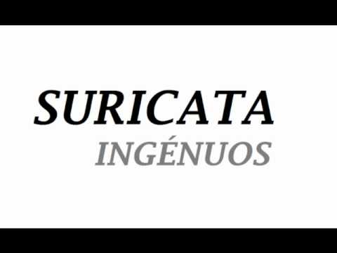Suricata - Ingénuos