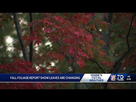 Fall Foliage Report shows an increase in color across Maine