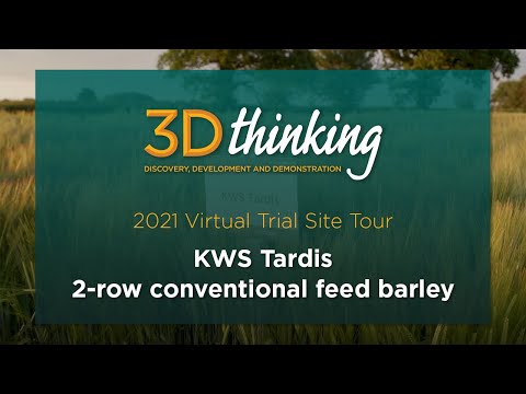 KWS Tardis: 2-row conventional feed barley - 2021 virtual trial site tour | 3D Thinking