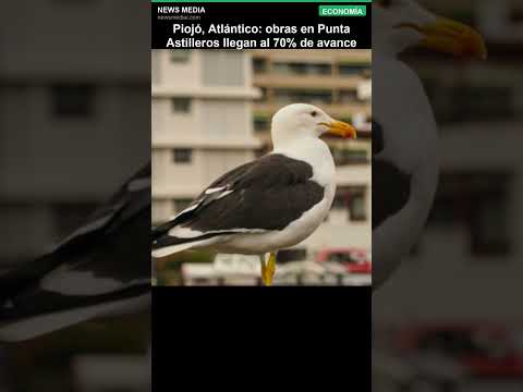 Piojó, Atlántico: obras en Punta Astilleros llegan al 70% de avance #Shorts