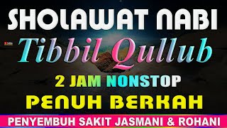 Download lagu Sholawat Tibbil Qulub Merdu, Sholawat Syifa Penyehat Jasmani Dan Rohani Shalawat Nabi 2 Jam Nonstop mp3