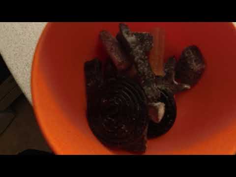 MongoTV_7505 - LILLE SKÅL SLIK FREDAG AFTEN  OG VIL SPILLE THE SIMS 4