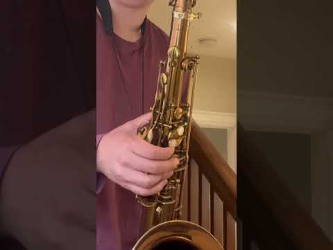 1958 Selmer Mark VI Tenor Saxophone - 77xxx, original lacquer, overhauled! image 16
