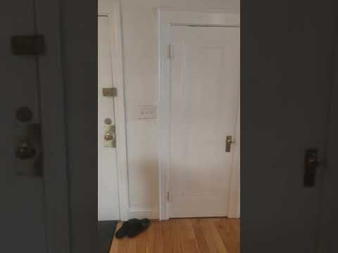 114 Strathmore Rd., #106, Boston, MA 02135 (Brighton)