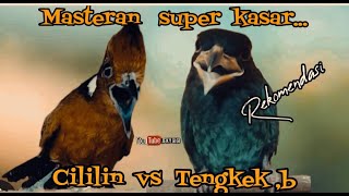 Download lagu MASTERAN SUPER KASAR SANGAT REKOMENDASI cililin vs tengkek buto durasi panjang mp3 Download lagu MASTERAN SUPER KASAR SANGAT REKOMENDASI cililin vs tengkek buto durasi panjang mp3