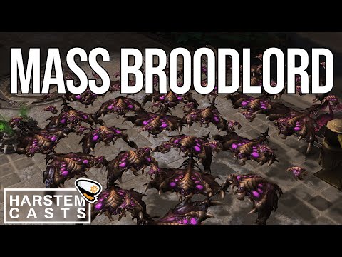 BROODLORD All in STUNS ByuN