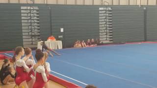 Pilgrim Harvest 2016